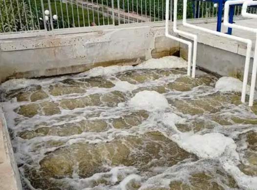 �ɹ�����